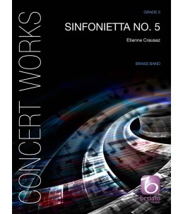 Sinfonietta No. 5