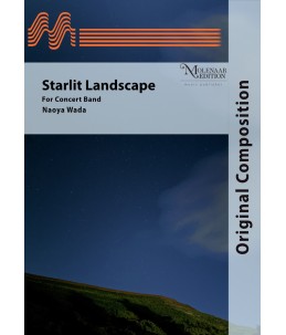 Starlit Landscape