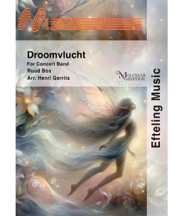 Droomvlucht