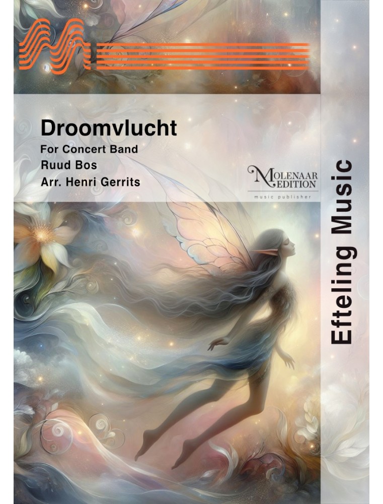 Droomvlucht