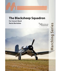 Black Sheep Squadron