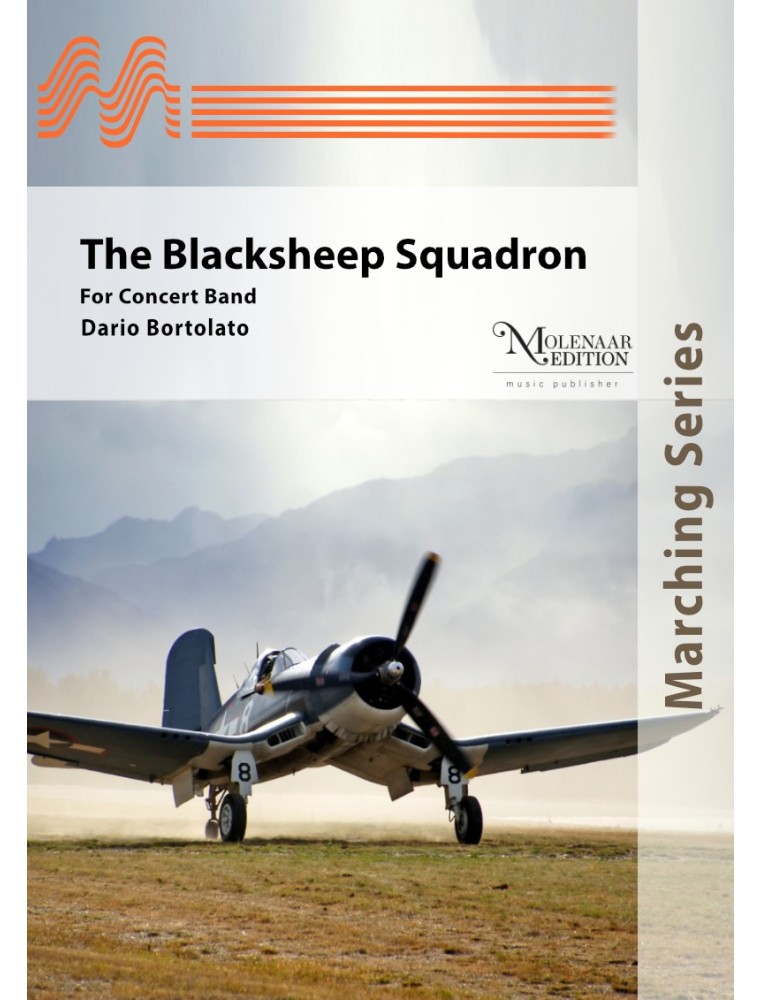 Black Sheep Squadron