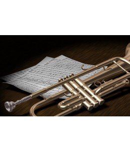 Trumpet Concerto - 1st Movement