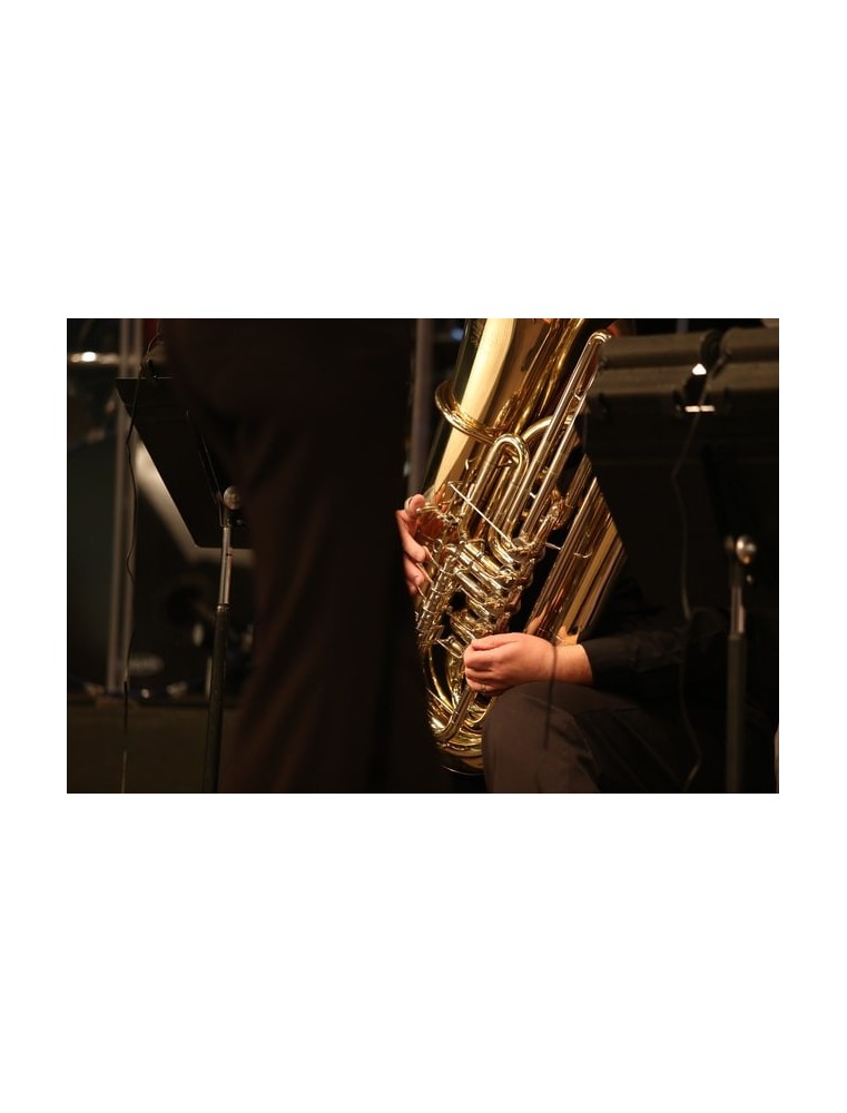 Concertino for Tuba and Band